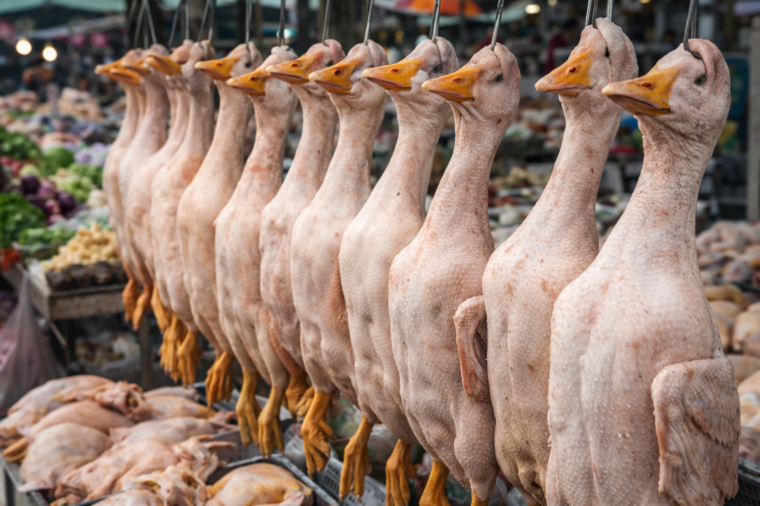 Пастереллез не подтвердился: в СКО проверили конфискованное мясо из Шаховского