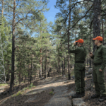 Наблюдательные вышки, патрули и «Лесохранитель»: как в СКО спасали леса от огня