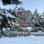 Циклон накрыл Северный Казахстан: метель, туман и сильный ветер сохранятся