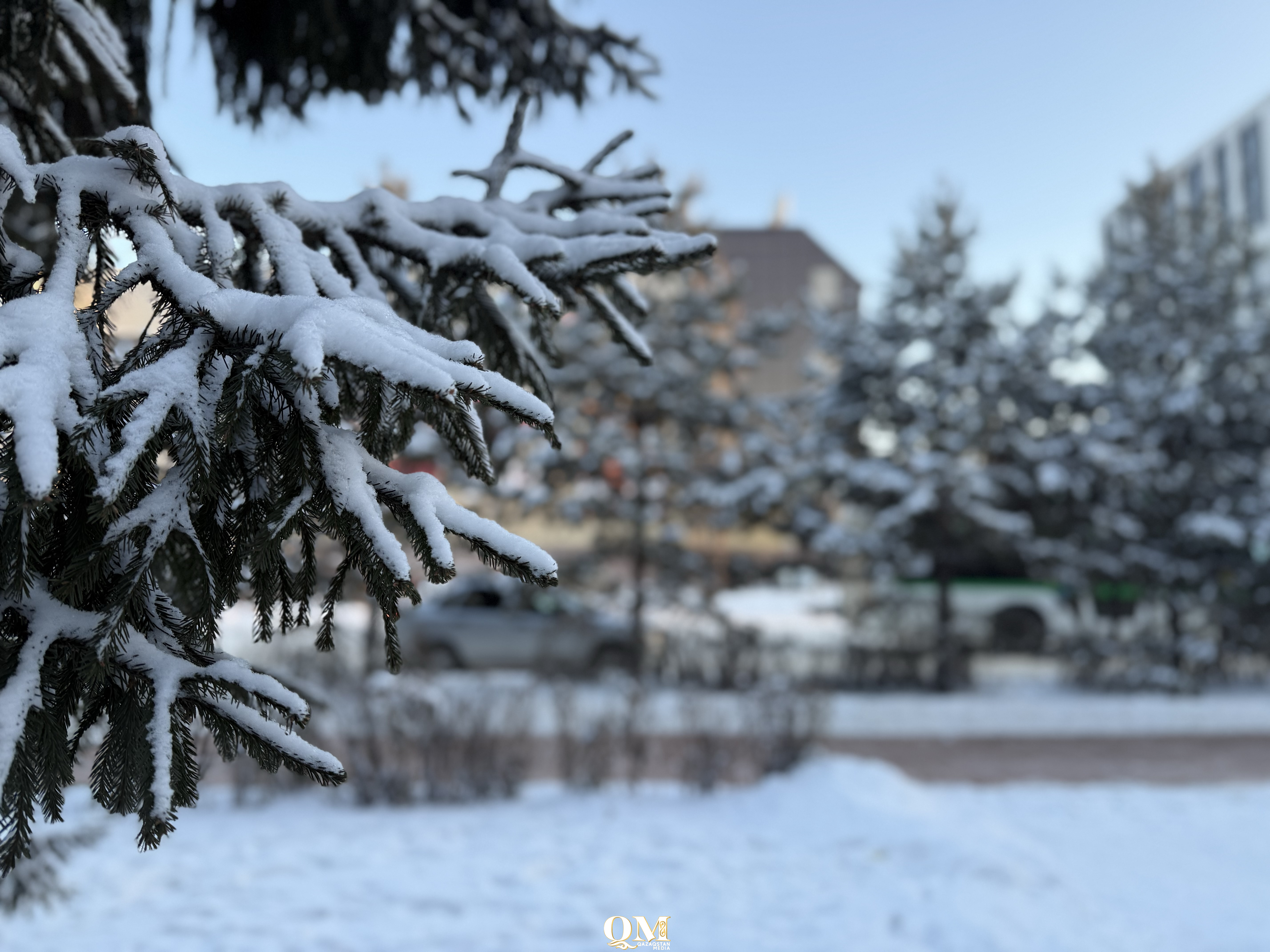 Циклон накрыл Северный Казахстан: метель, туман и сильный ветер сохранятся