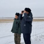 В СКО продолжается «охота» на черных лесорубов в преддверии Нового года