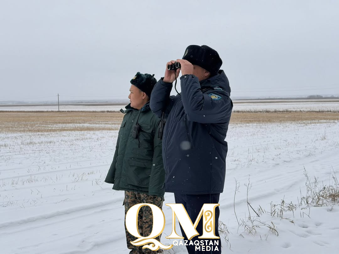 В СКО продолжается «охота» на черных лесорубов в преддверии Нового года