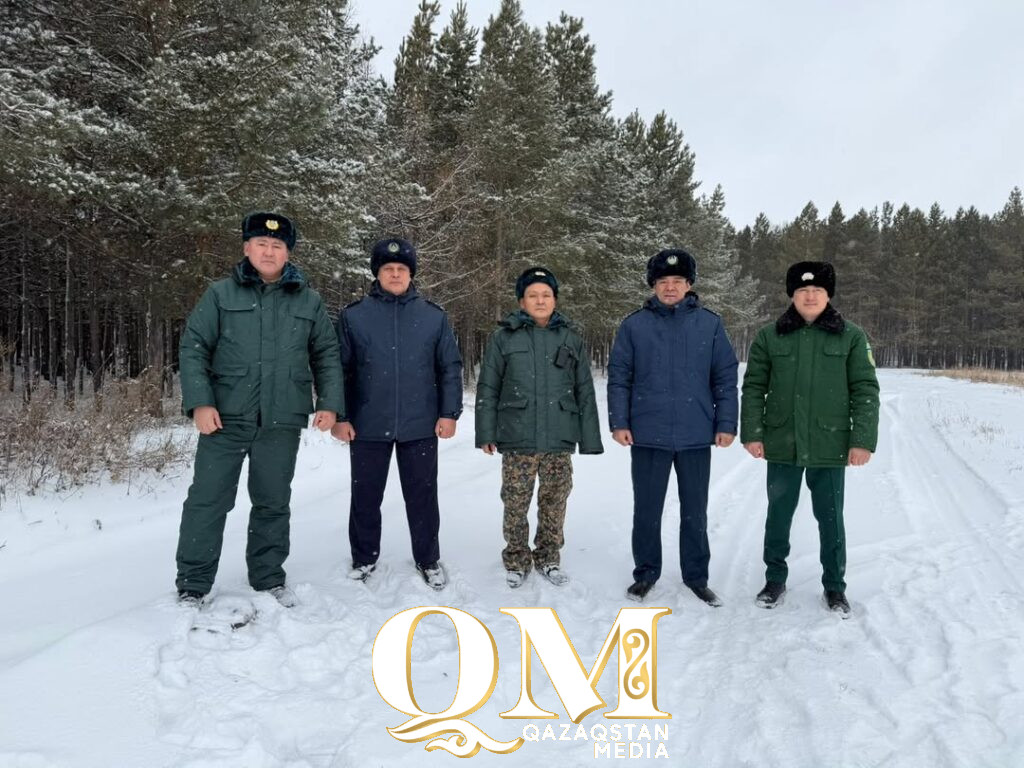 В СКО продолжается «охота» на черных лесорубов в преддверии Нового года