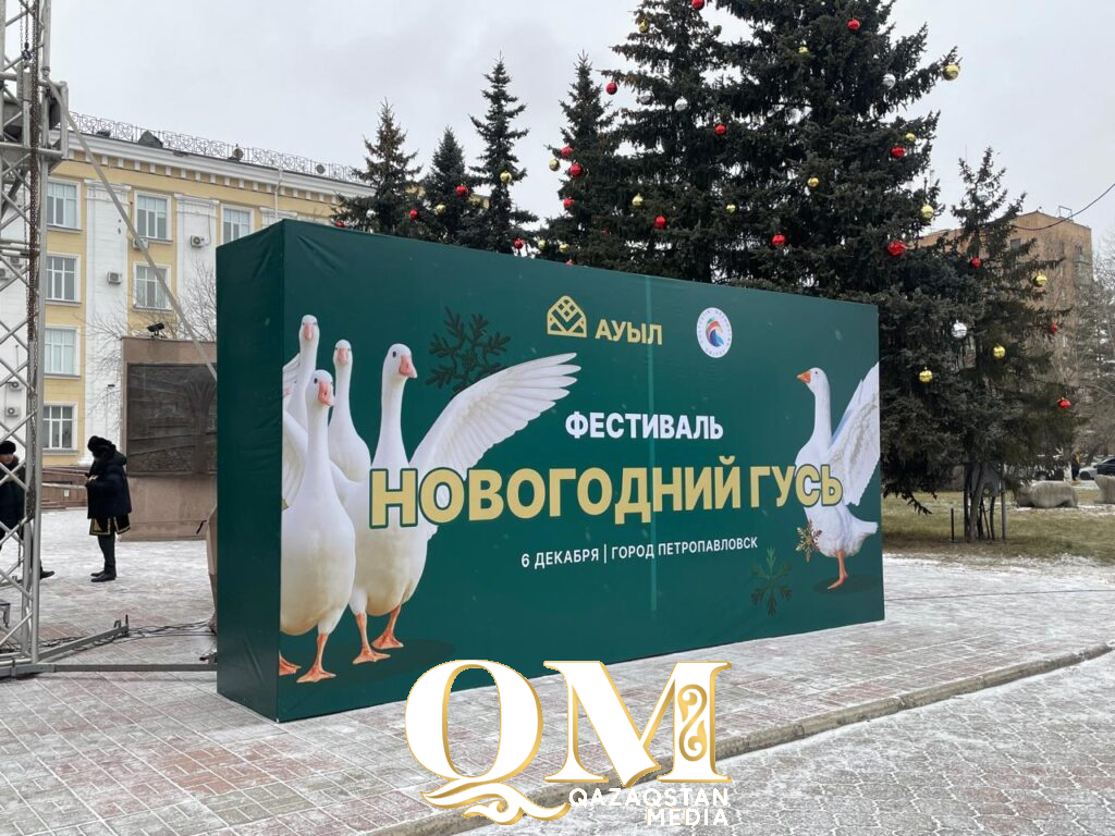 85 туш гусей привезли на фестиваль в Петропавловск фермеры Жамбылского района