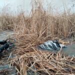 Тело пропавшего жителя СКО нашли в водоеме