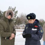 Как и зачем ловят нелегальных продавцов ёлок в Петропавловске