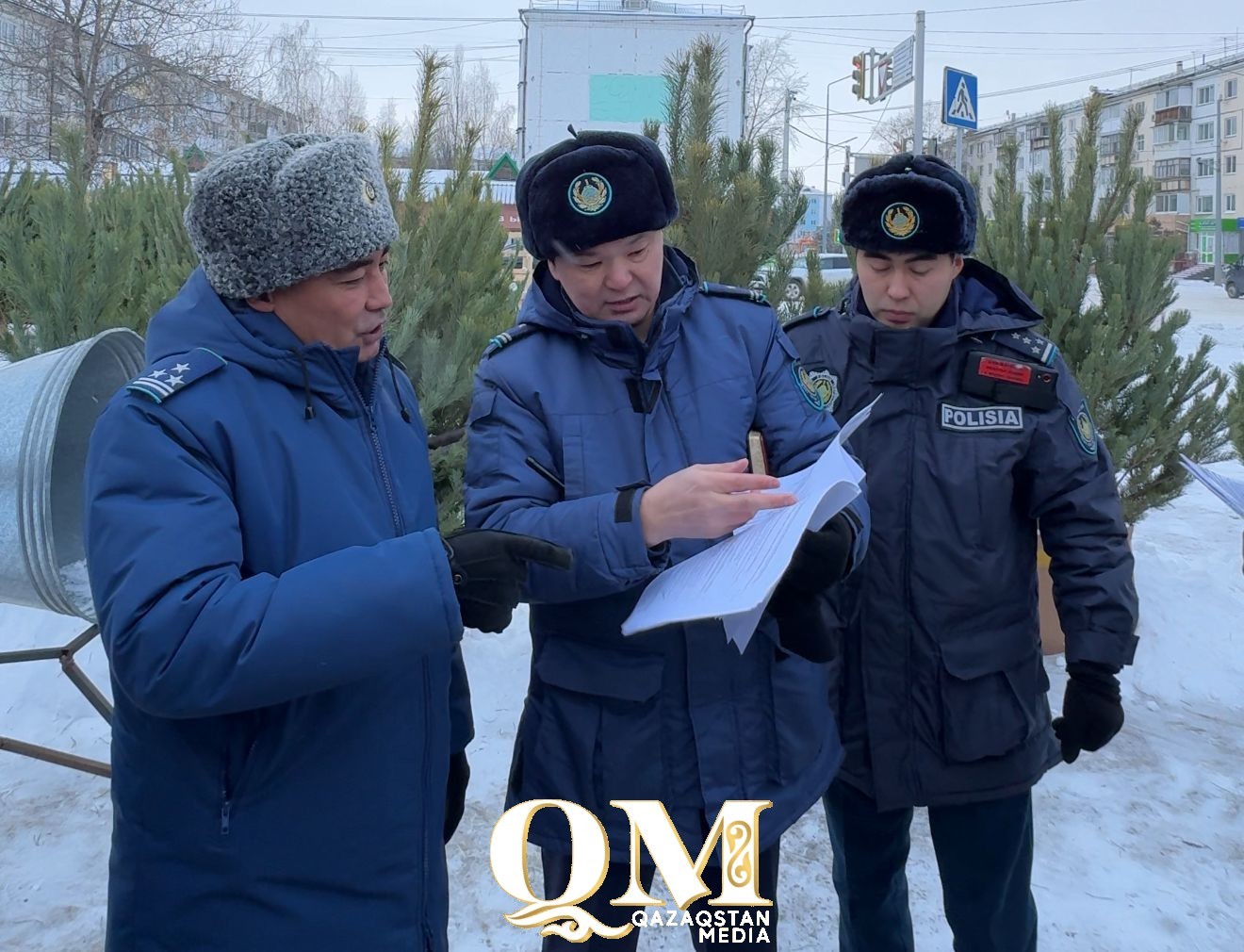 Как и зачем ловят нелегальных продавцов ёлок в Петропавловске