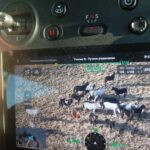 Табун лошадей искали с помощью дронов на севере Казахстана