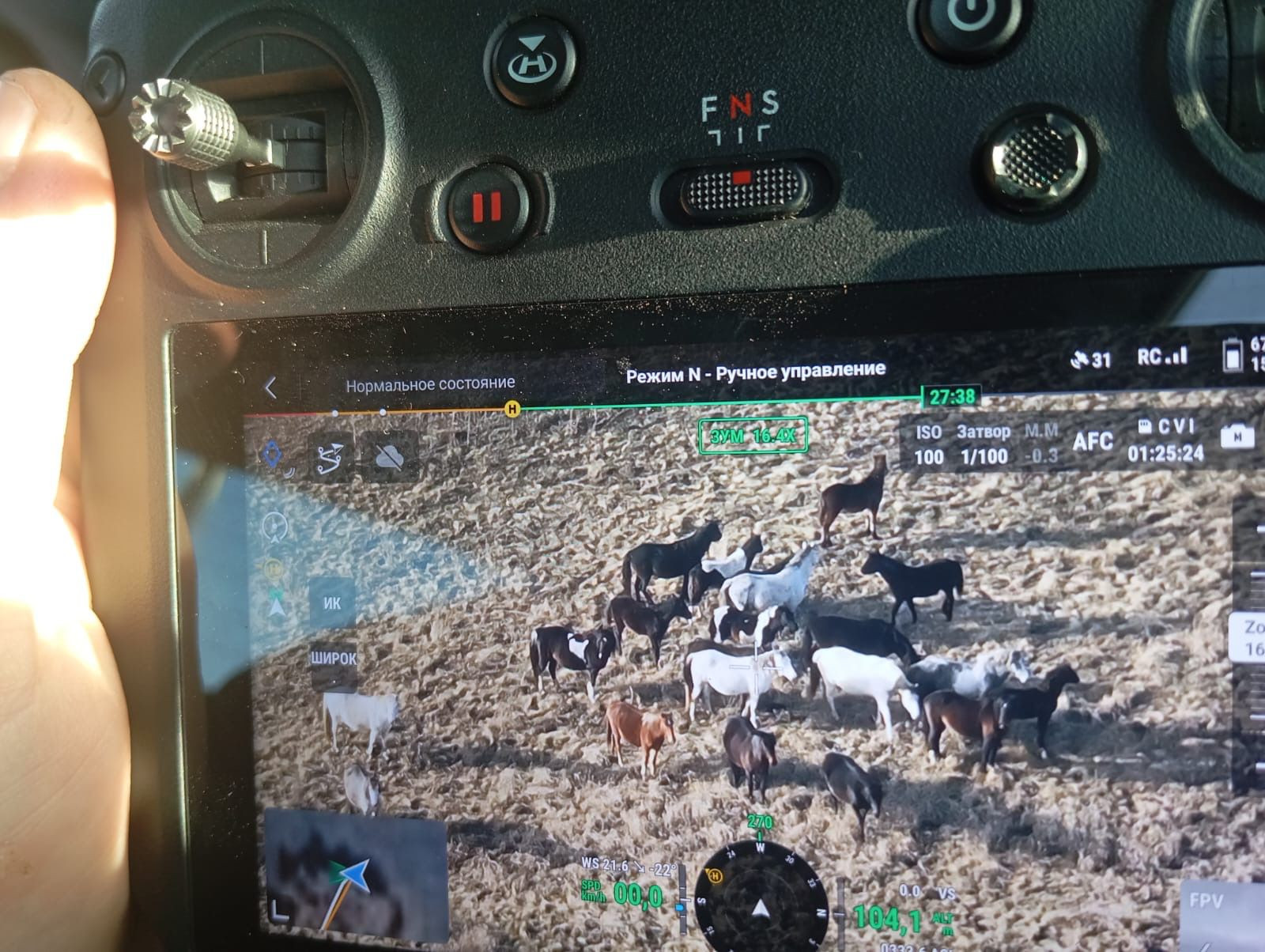 Табун лошадей искали с помощью дронов на севере Казахстана