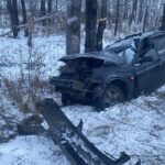 Зимние дороги продолжают калечить: 38-летняя женщина пострадала на трассе в СКО