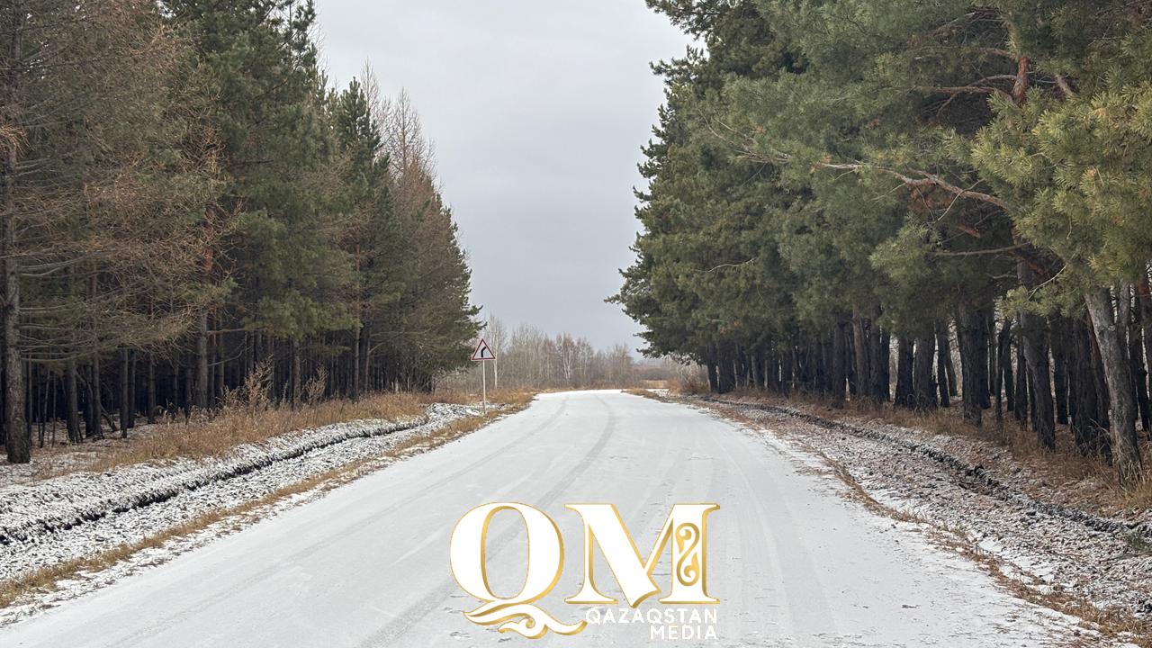 СҚО-да шырша күзеті күшейтілді