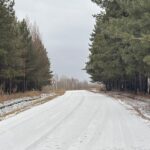 СҚО-да шырша күзеті күшейтілді