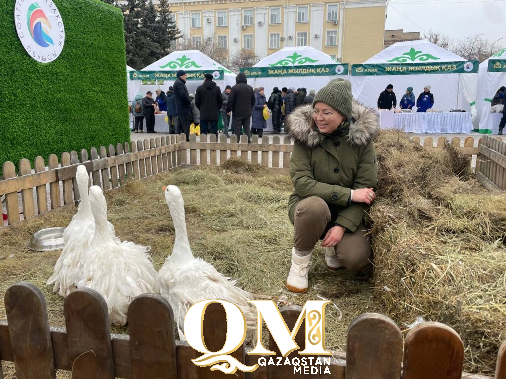 Фестиваль «Новогодний гусь» с пернатыми звездами и деликатесами прошел в Петропавловске