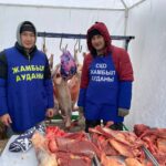 85 туш гусей привезли на фестиваль в Петропавловск фермеры Жамбылского района