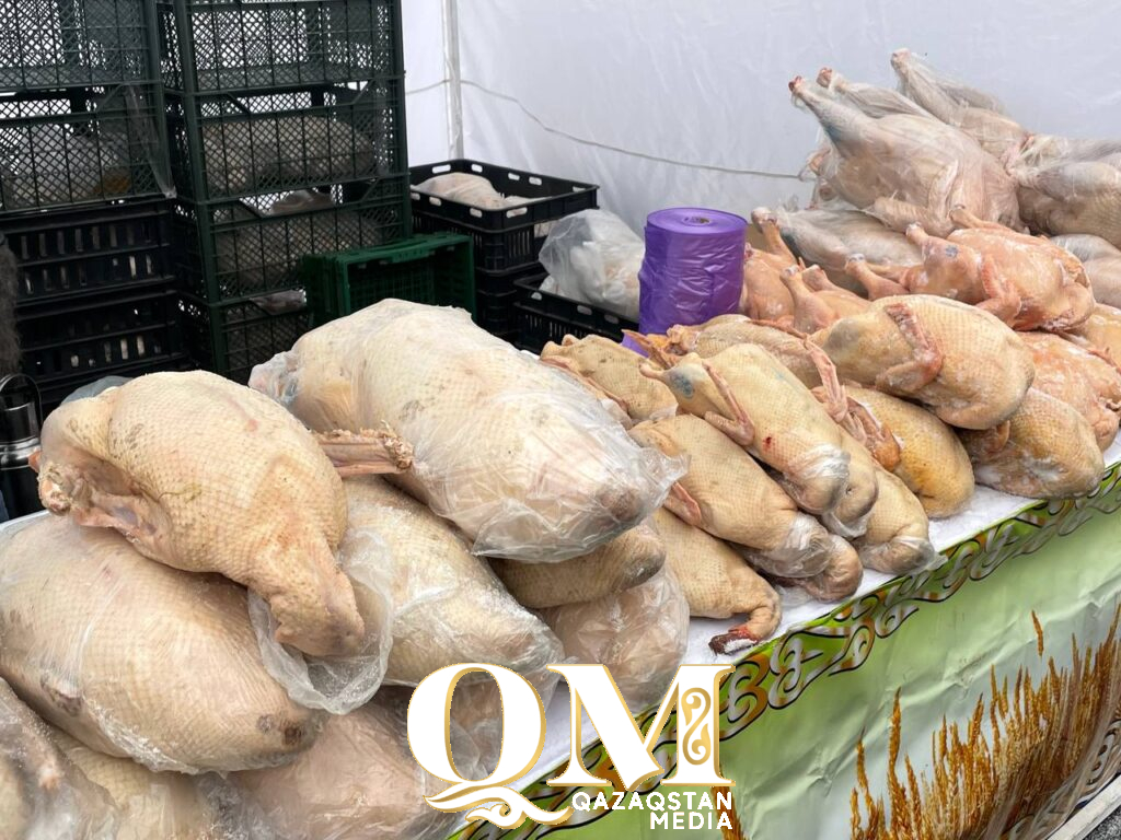 Фестиваль «Новогодний гусь» с пернатыми звездами и деликатесами прошел в Петропавловске 