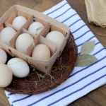 Қазақстанға тауық жұмыртқасын әкелуге бір айға тыйым салынды