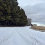 Жасыл желекке залал қалай есептеледі: жаңа өзгерістер