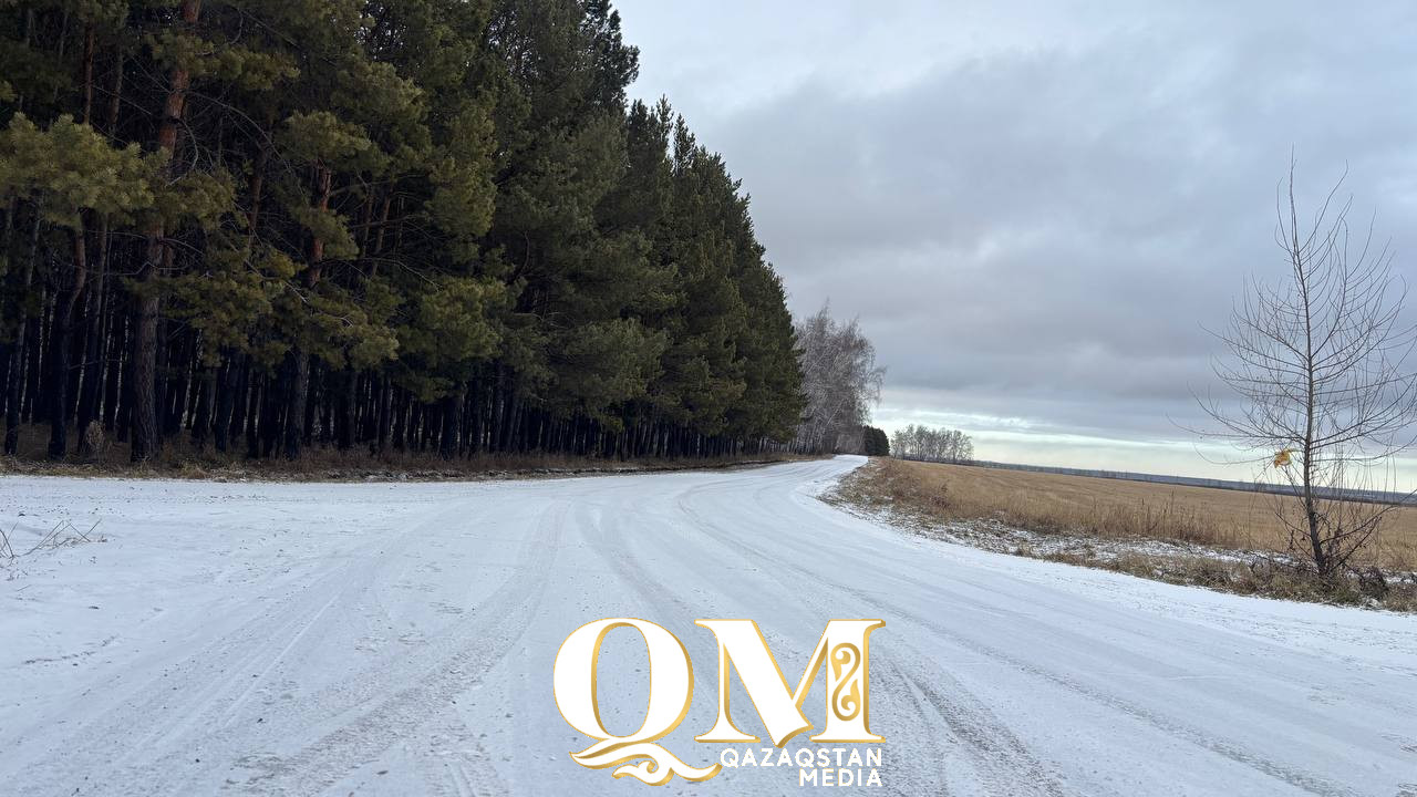 Жасыл желекке залал қалай есептеледі: жаңа өзгерістер