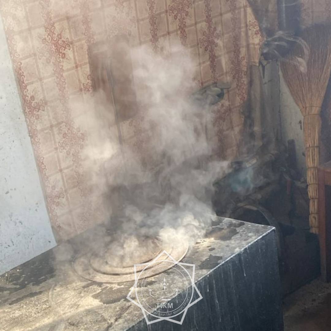 Тағы өрт, тағы адам өлімі: Уәлиханов ауданында өрттен әйел адам қаза тапты