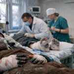 Отморозили руки и ноги: жертвами холода стали 16 жителей СКО