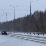 Ресейлік азаматтар СҚО-да көліктеріне жалған мемлекеттік нөмір тағып жүрген