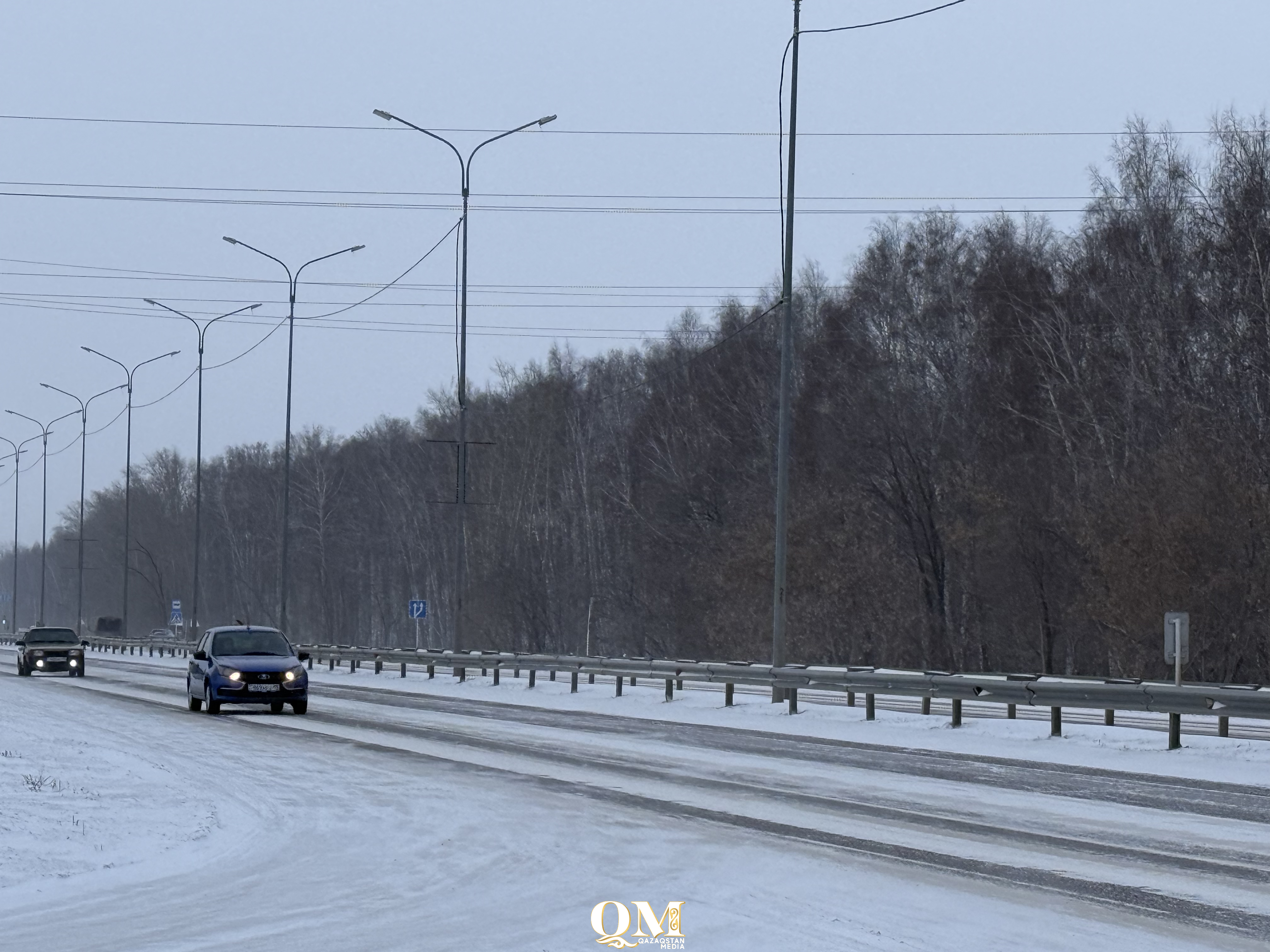 Ресейлік азаматтар СҚО-да көліктеріне жалған мемлекеттік нөмір тағып жүрген