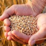 Петропавлда жылына 12,7 мың тонна өнім өндіретін зауыт іске қосылады