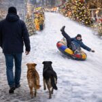 Укусы животных и переломы: за новогодние дни в травмпункт обратились 300 жителей СКО