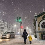 Цена нарушения – жизнь. За что наказали почти 9 тысяч пешеходов в СКО