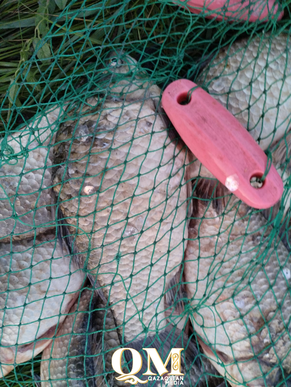 Балық аулау қымбат хобби ма?