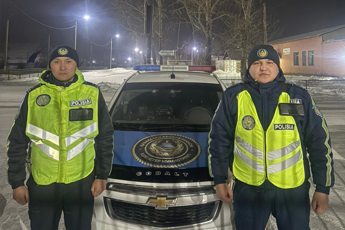 Укусил водителя и сам чуть не умер от эпилепсии. Полицейские спасли мужчину на трассе в СКО