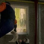 Операция «мяу»: спасатели выручили кошек из ледяного плена в Петропавловске