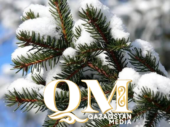 Облыстың мамандандырылған табиғатты қорғау прокуратурасы мемлекеттік орман қорын заңсыз кесуге қарсы іс-қимыл жөнінде талдау жүргізді.