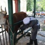 СҚО-ға 57 ветеринарлық бекет сатып алынады