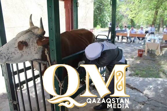 Биыл Солтүстік Қазақстан облысында ветеринарлық қауіпсіздікке баса мән беріледі. Ағымдағы жылы өңірге 57 ветеринарлық бекет, 5 аудандық станция және 85 арнайы жабдық сатып алынады