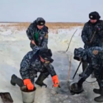 Балықтарды құттқару операциясы: 400-ден астам балық көлден ауланып, Есілге жіберілді