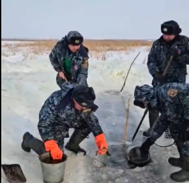 Балықтарды құттқару операциясы: 400-ден астам балық көлден ауланып, Есілге жіберілді