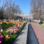 Сәуірден бастап Қазақстанда бірқатар өзгеріс күшіне енеді