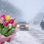 Весной и не пахнет: метели и сильный ветер прогнозируются 8 Марта на севере Казахстана