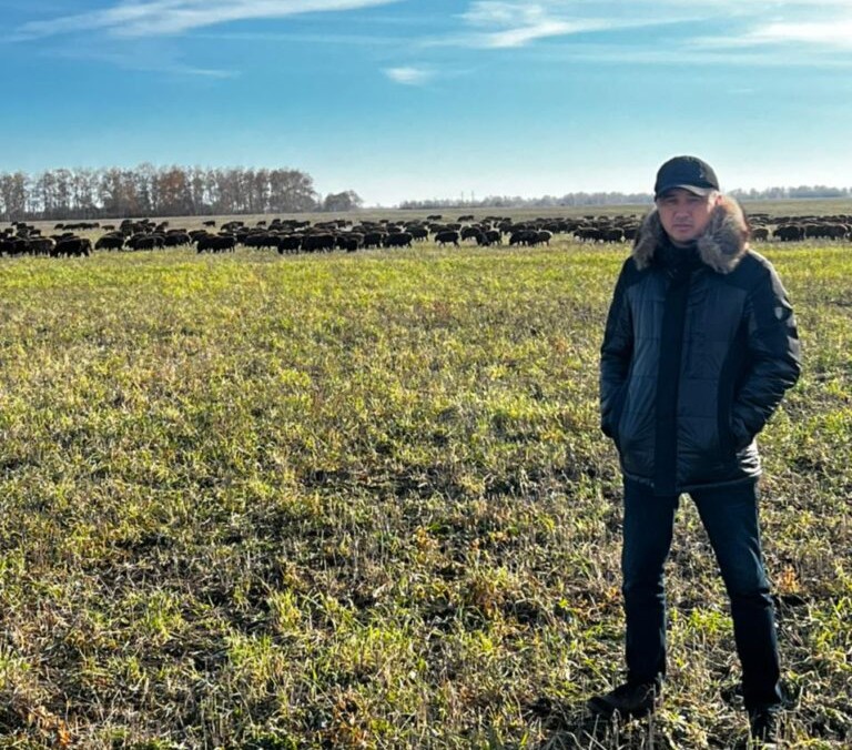 Семейное дело длиной в 30 лет. Фермеры из СКО мечтают возродить родное село