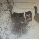 Сэкономил на вывозе — потратился на штраф: бизнесмена наказали за старую мебель у баков в Петропавловске