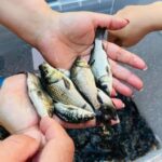 Удочки в сторону: штраф за ловлю рыбы можно получить на севере Казахстана