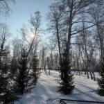 Март, говорите? Метели и морозы до –35 накроют север Казахстана