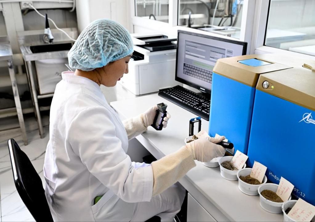 Переработка масличных культур в СКО набирает обороты