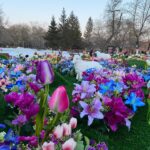 До 17 градусов тепла прогнозируют синоптики в праздничную неделю на севере страны