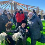 Весна захватила город – Петропавловск встретил Наурыз