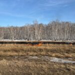 Аққайың ауданында құрғақ шөп өртеу кезінде өрт қауіпсіздігі талаптары бұзылды