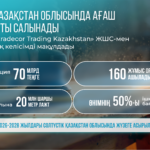 СҚО-да ағаш өңдеу зауыты салынады