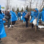 СҚО тұрғындары ел бойынша ұйымдастырылған жаппай ағаш егу акциясына белсенді қатысты