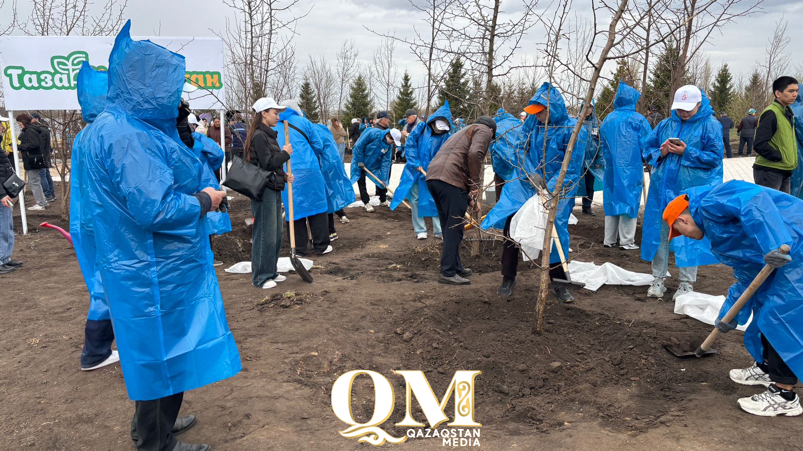 СҚО тұрғындары ел бойынша ұйымдастырылған жаппай ағаш егу акциясына белсенді қатысты